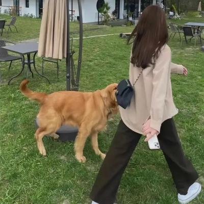 魔鬼怪婴